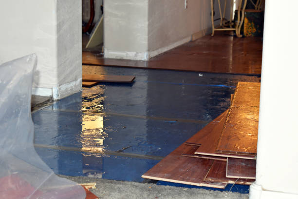 Professional Basement Water Removal technician working in Thornville, OH